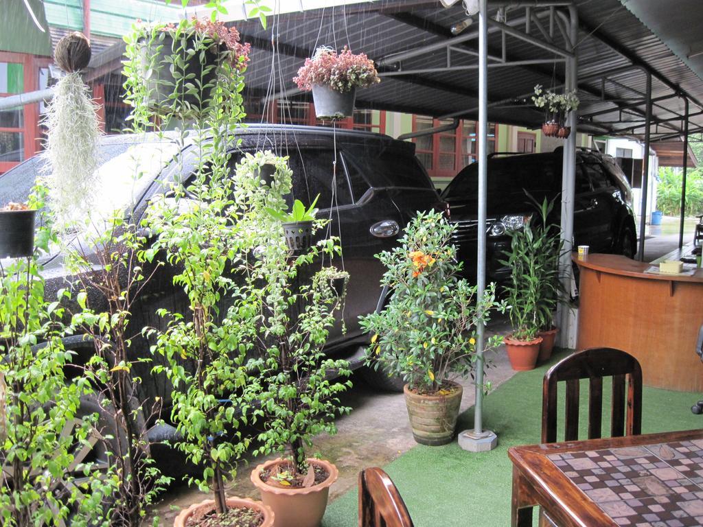 Sakura House Hostel Τσιάνγκ Μάι Εξωτερικό φωτογραφία