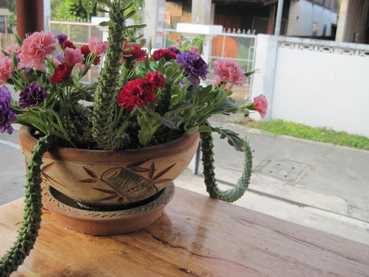 Sakura House Hostel Τσιάνγκ Μάι Εξωτερικό φωτογραφία